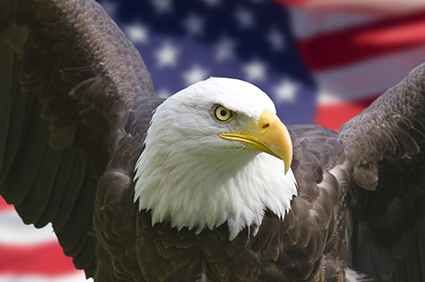 eagle in front of flag